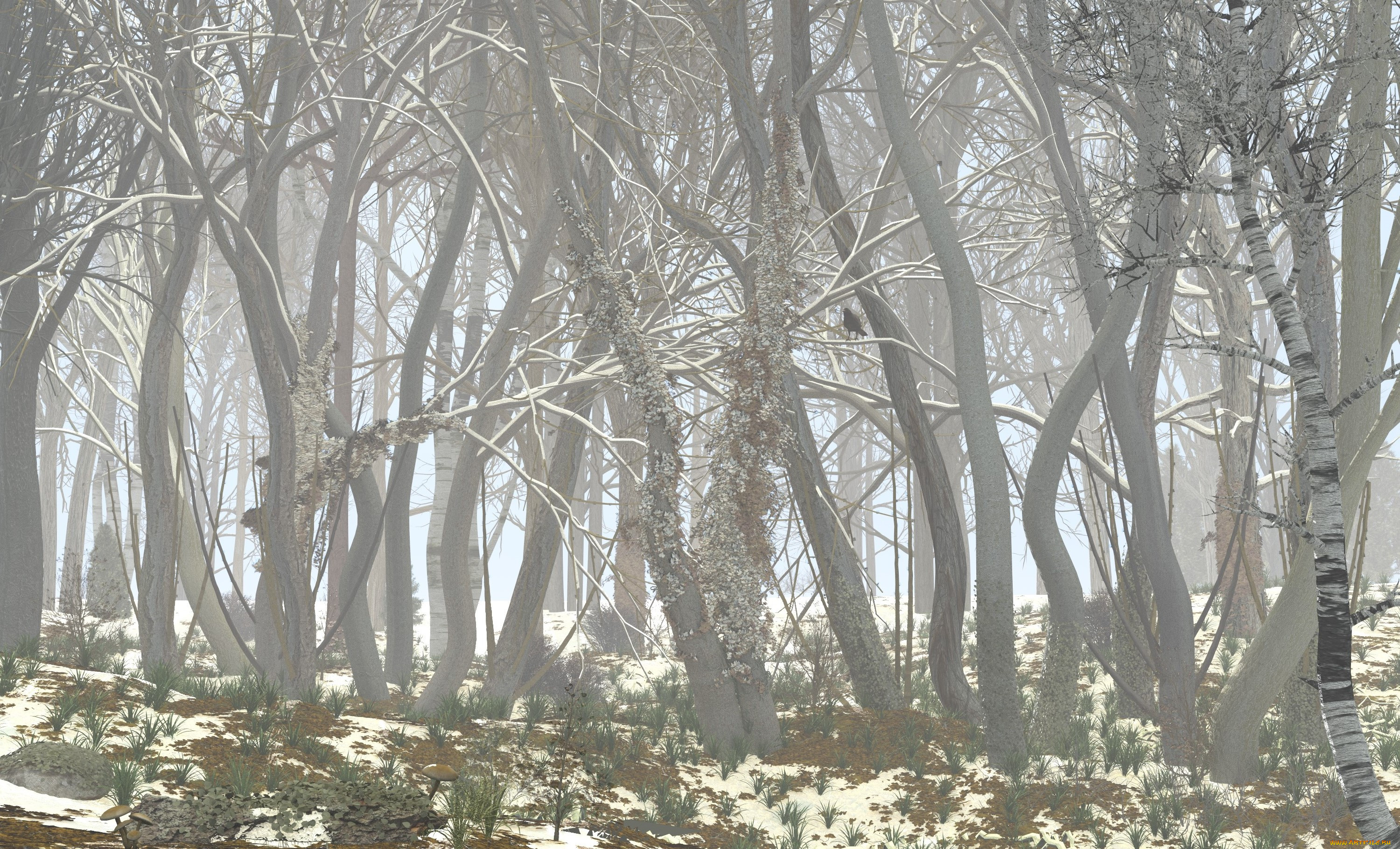 3 ,  , nature, , 